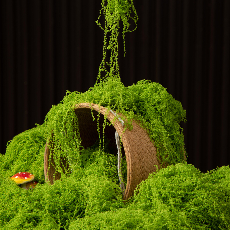 Terrarium Moss Art - Musgo Eterno de 200g para Manualidades,