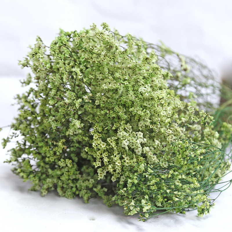 Dried Flower Bulk - Flores preservadas secas frescas naturales, hierba