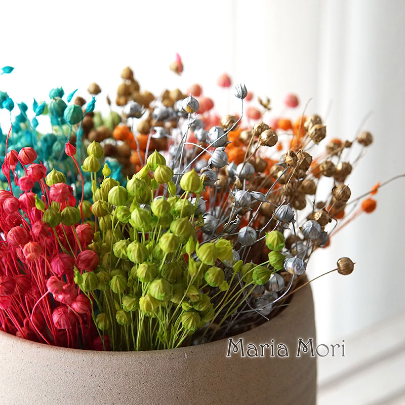 Dried Flower Bulk - 5g de frijol de lino conservado,