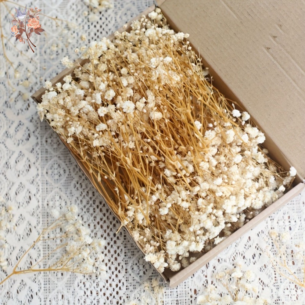 Dried Flower Bulk - 100 Piezas de Flores Secas de