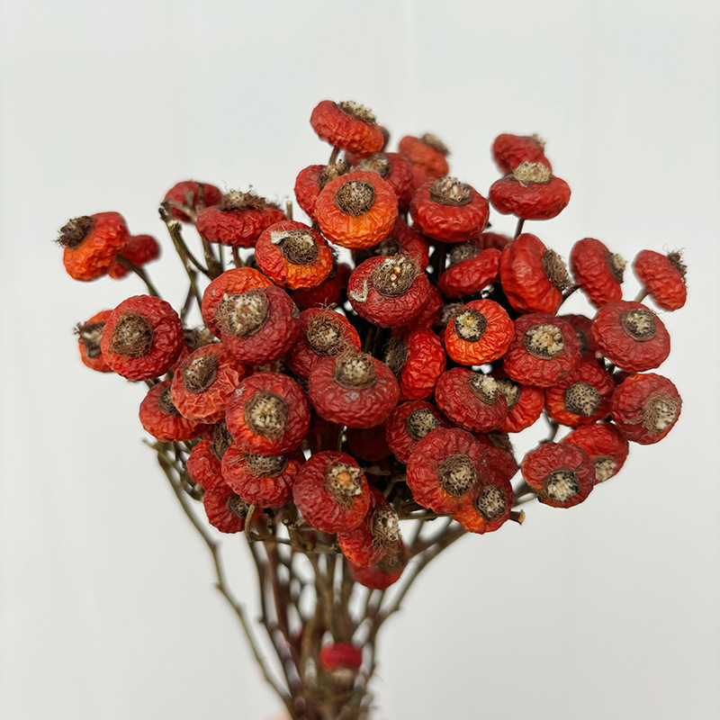 10 Piezas/Ramo de Flores Secas - Dried Flower Bulk reseña y precio