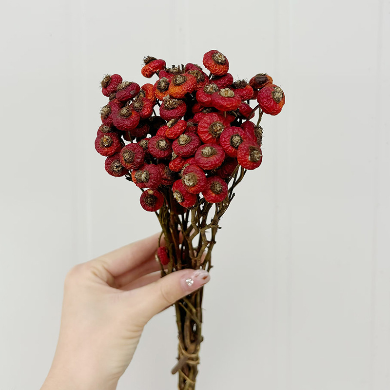 10 Piezas/Ramo de Flores Secas - Dried Flower Bulk reseña y precio