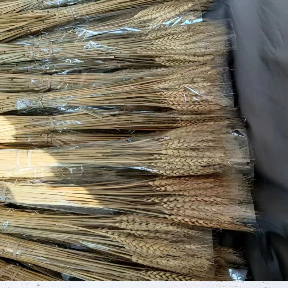 50 Piezas de Flores Artificial - Dried Flower Bulk reseña y precio