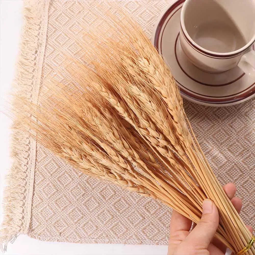 50 Piezas de Flores Artificial - Dried Flower Bulk reseña y precio