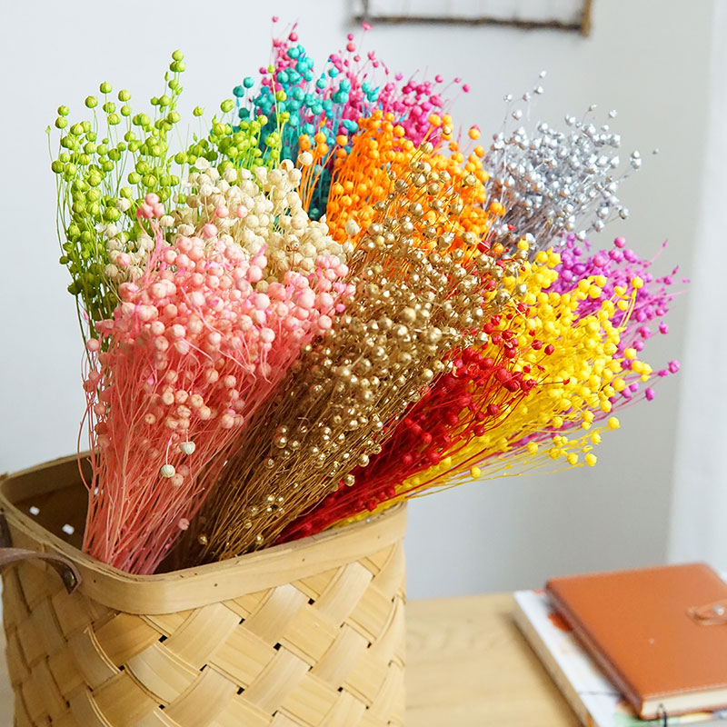 35g/Ormosia Hosiei conservada  - Dried Flower Bulk reseña y precio