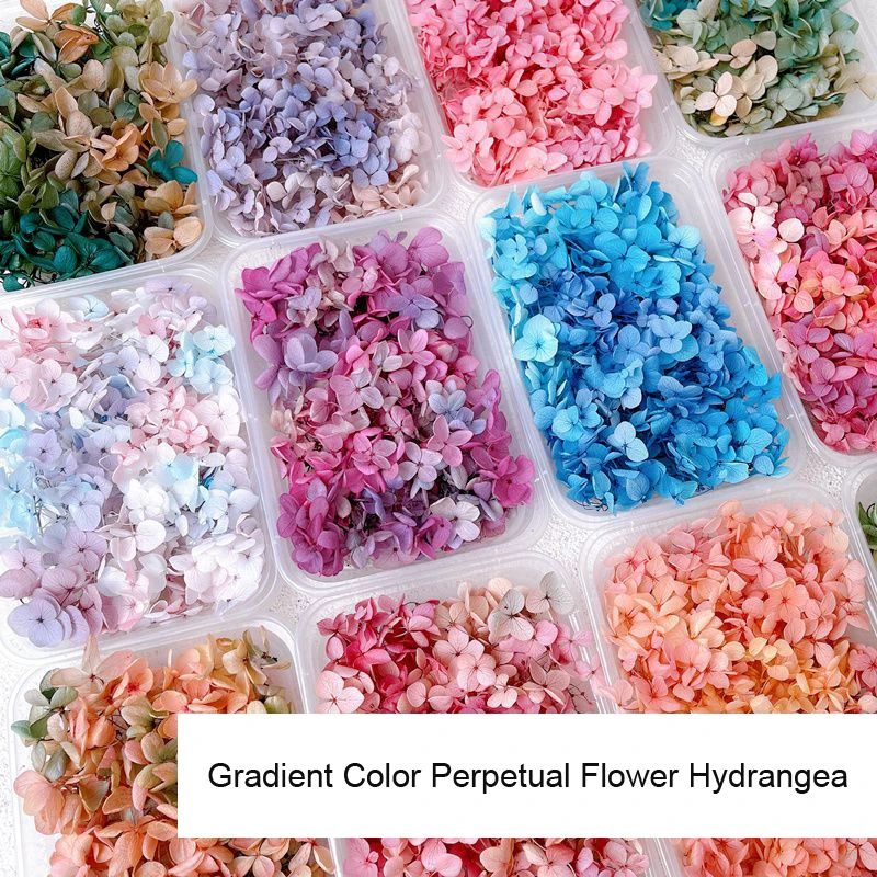 Calcomanías de decoración de u - Dried Flower Bulk reseña y precio