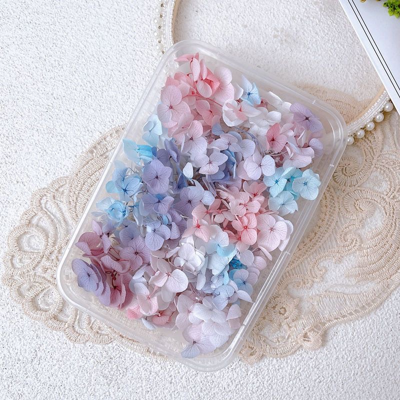 Calcomanías de decoración de u - Dried Flower Bulk reseña y precio