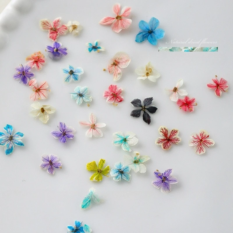 1 Uds. Arte de uñas Floral deg - Dried Flower Bulk reseña y precio