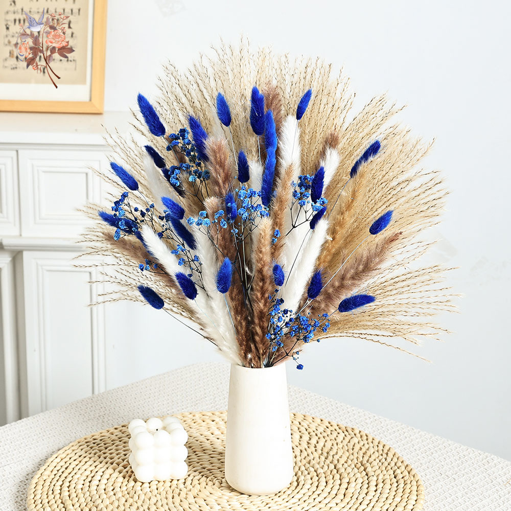 Cola de conejo esponjosa azul  - Dried Flower Bulk reseña y precio