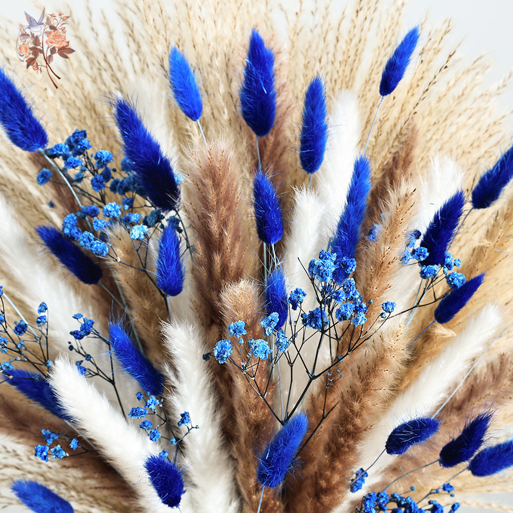 Cola de conejo esponjosa azul  - Dried Flower Bulk reseña y precio