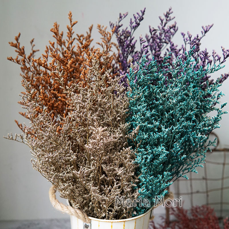 50g/Flor de Limonium Preservad - Dried Flower Bulk reseña y precio