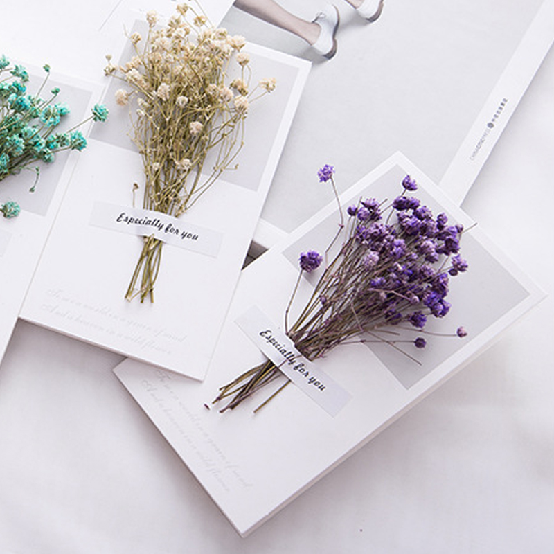 Tarjeta de regalo para invitac - Dried Flower Bulk reseña y precio