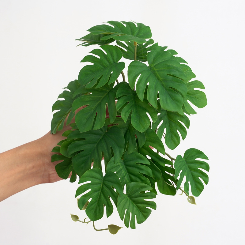 Plantas Artificiales para Terr - Terrarium Moss Art reseña y precio