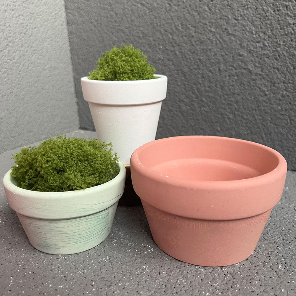 Molde de silicona para maceta  - Coaster Mold Round reseña y precio