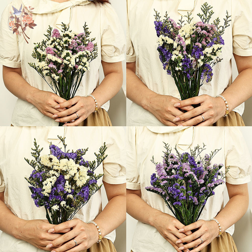 Ramo de flores Natural Real de - Dried Flower Bulk reseña y precio