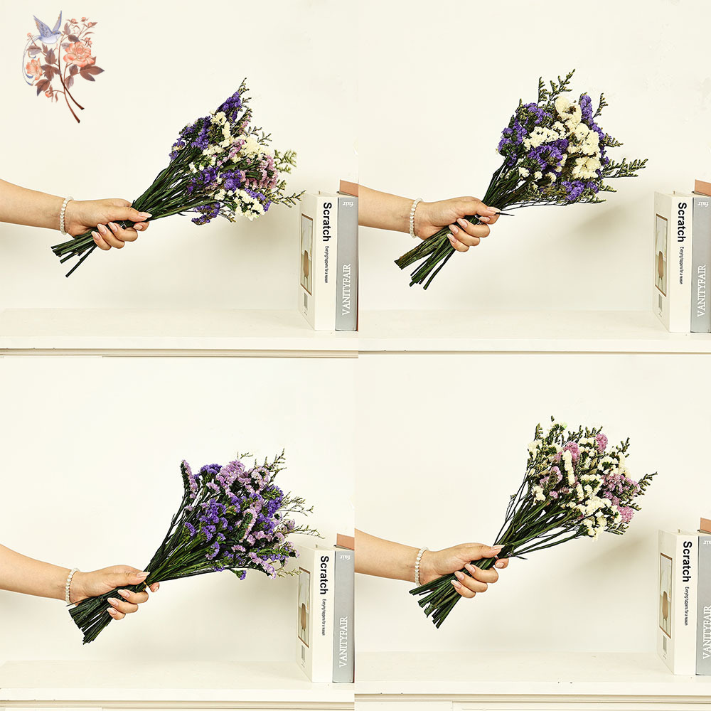 Ramo de flores Natural Real de - Dried Flower Bulk reseña y precio