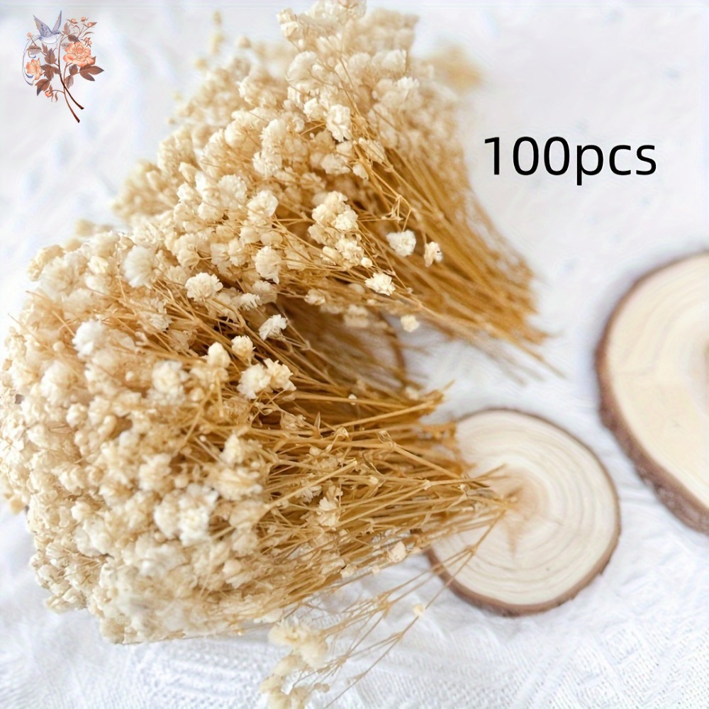 100 Piezas de Flores Secas de  - Dried Flower Bulk reseña y precio