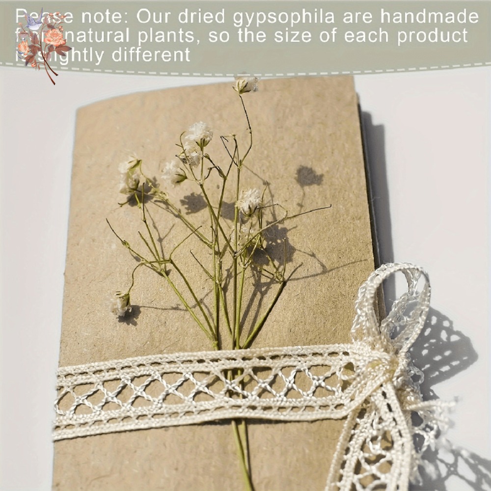 100 Piezas de Flores Secas de  - Dried Flower Bulk reseña y precio